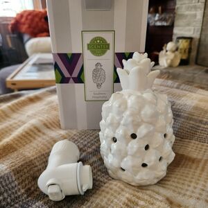 Scentsy Southern Hospitality Mini Plug In Wax Warmer
